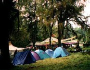 tents
