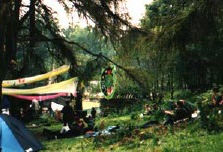 trees