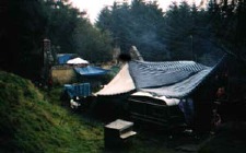 main canopy