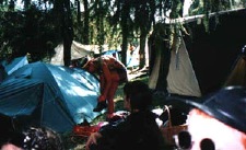 jeena